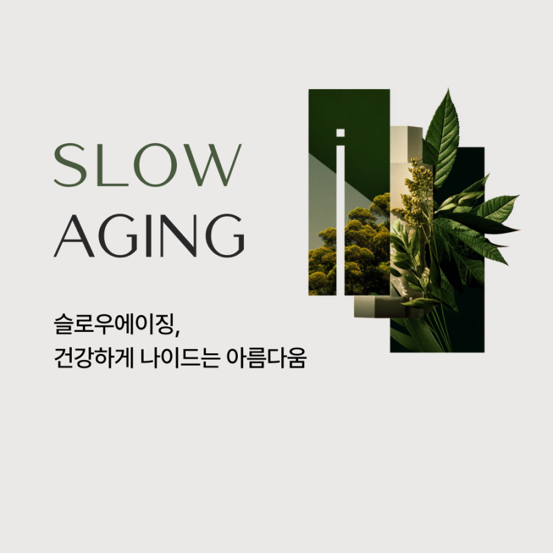 하이미의원 커버 이미지